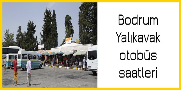 Bodrum Yalıkavak dolmuş saatleri