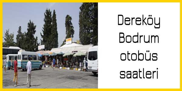 Dereköy, Bodrum dolmuş saatleri