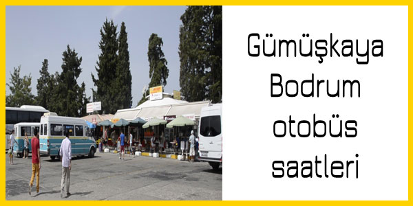 Gümüşkaya, Bodrum otobüs saatleri