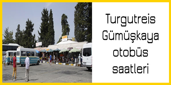 Turgutreis, Gümüşkaya dolmuş, otobüs saatleri