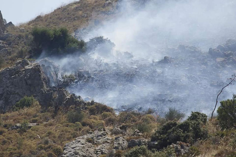 Gümüşlük'te ağaçlık alanda yangın 4