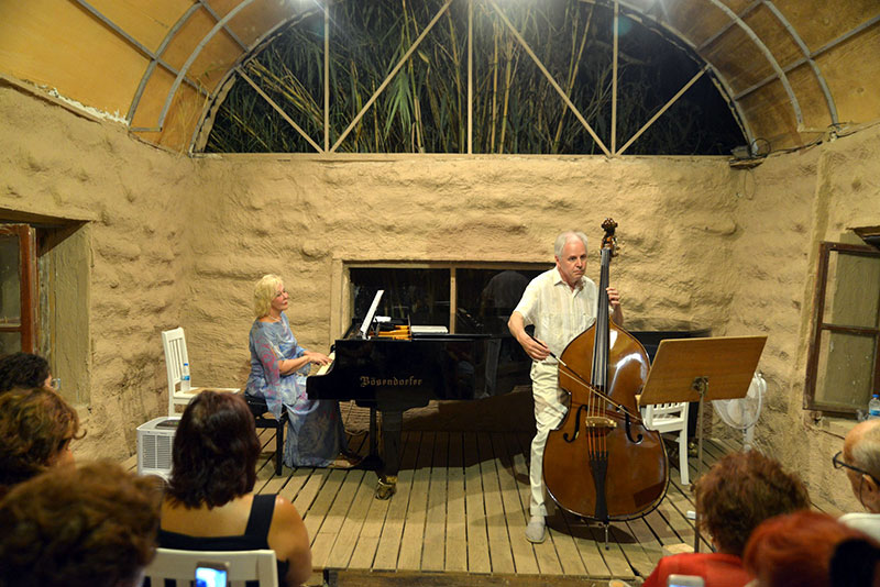 Gulsin Onay, Anthony Scholl