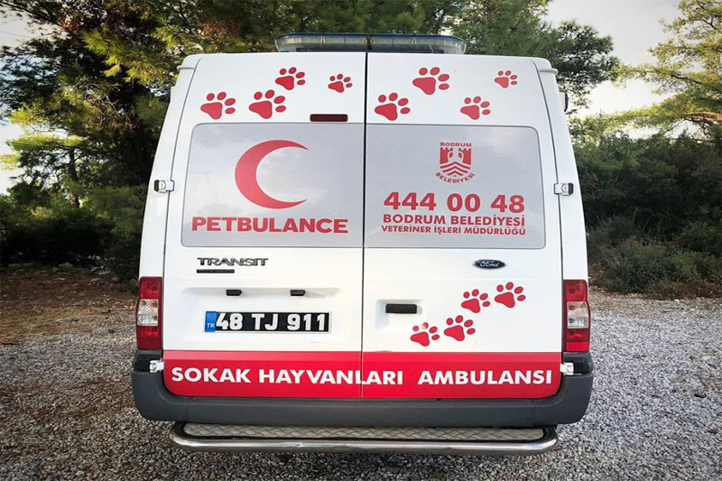 Bodrum belediyesi Veteriner İşleri Müdürlüğü 5