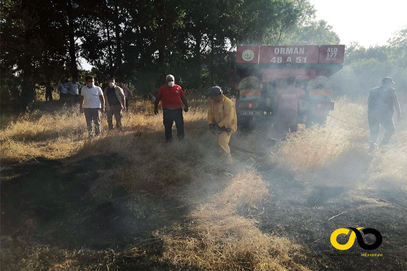 Bodrum Belediye Başkanı Ahmet Aras Dereköy'de yanan alanı inceledi 1