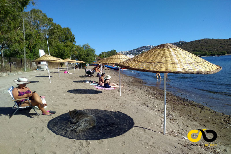 Gümüşlük Çayıraltı Halk Plajı 2