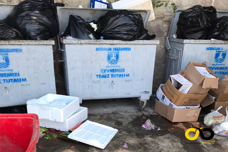 Gümüşlük sahiline kokudan girilemiyor 3