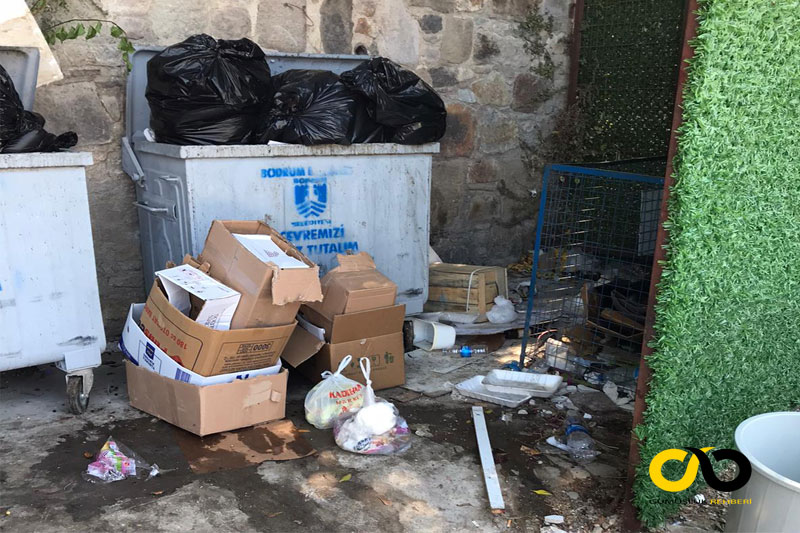 Gümüşlük sahiline kokudan girilemiyor 5