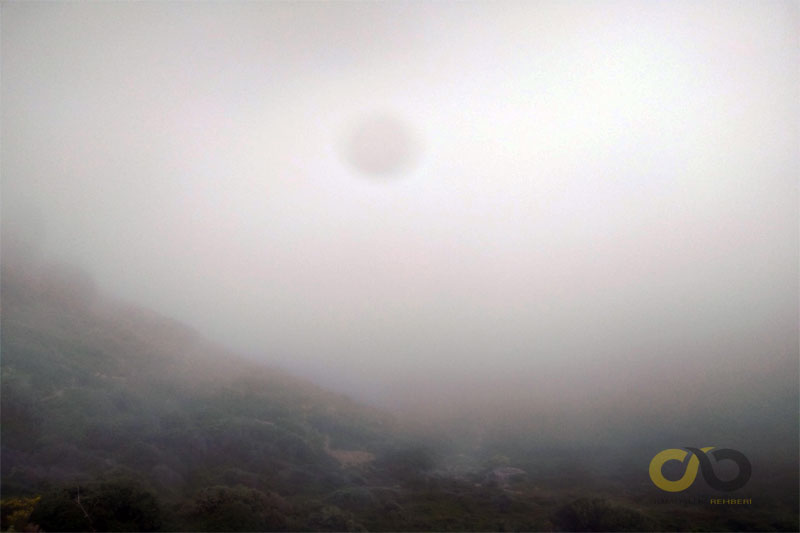 Very interesting natural phenomenon in Gümüşlük