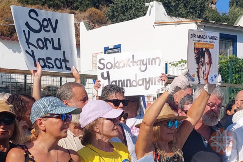 Bodrum haberleri; Bodrum haber 1
