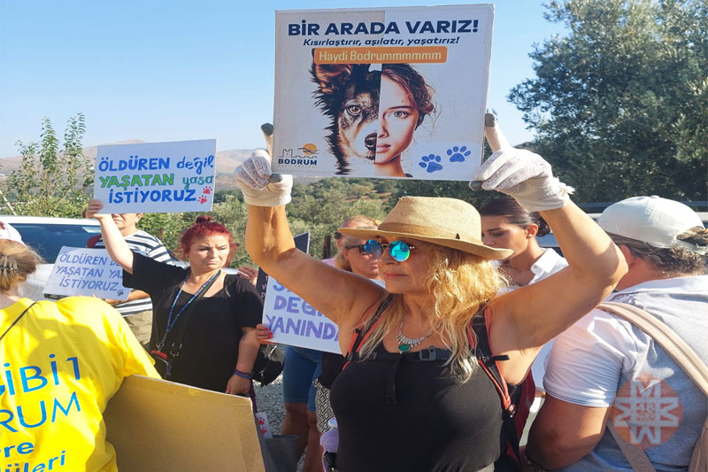Gümüşlük Forumu Barınak Gezdirme Grubu'ndan eylem - Görsel: Esra Şenerdoğan 4