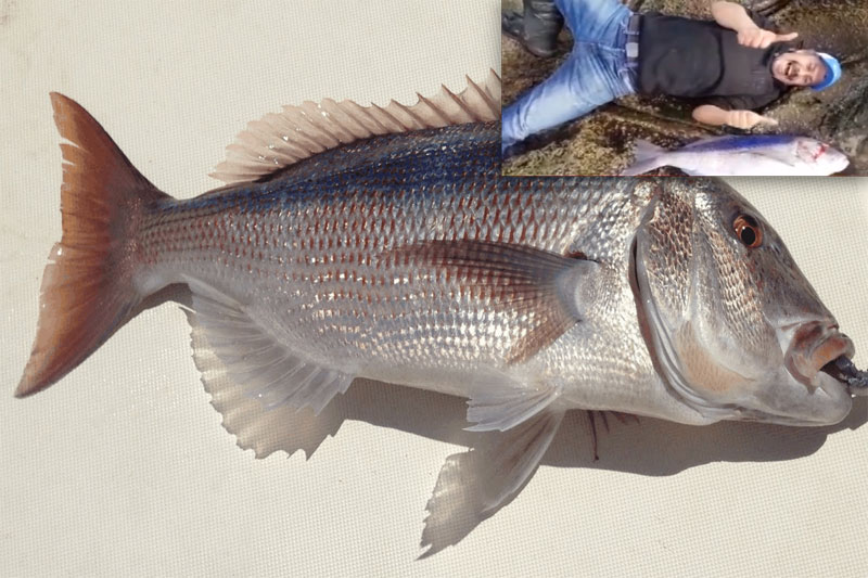 Gümüşlük haberleri; Kardak Kayalıkları