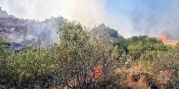 Bodrum, Akyarlar mahallesi makilik yangını, 28 Ağustos 2026 4