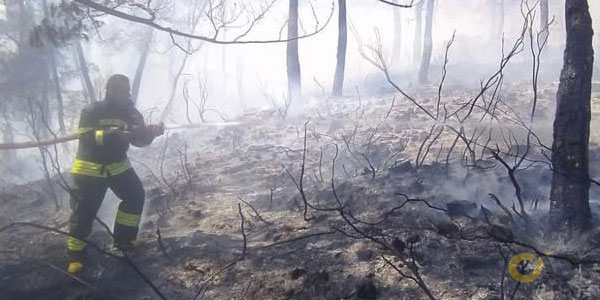 Göcek orman yangını, 20 Mart 2022 - GHA