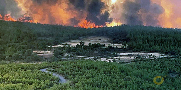 Kavaklıdere, Çamlıbel Mahallesi Belibol mevkisi orman yangını, 2021, arşiv - GHA