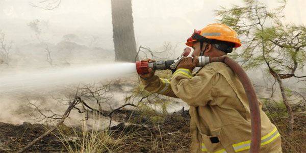 Orman yangınına müdahale, temsili görsel - Arşiv - GHA