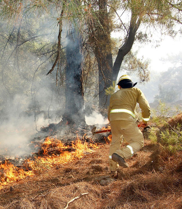 Orman yangını, 22 Eylül 2022 - GHA