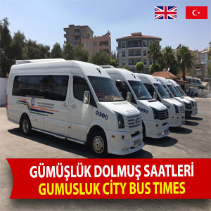 Bodrum dolmuş saatleri 4