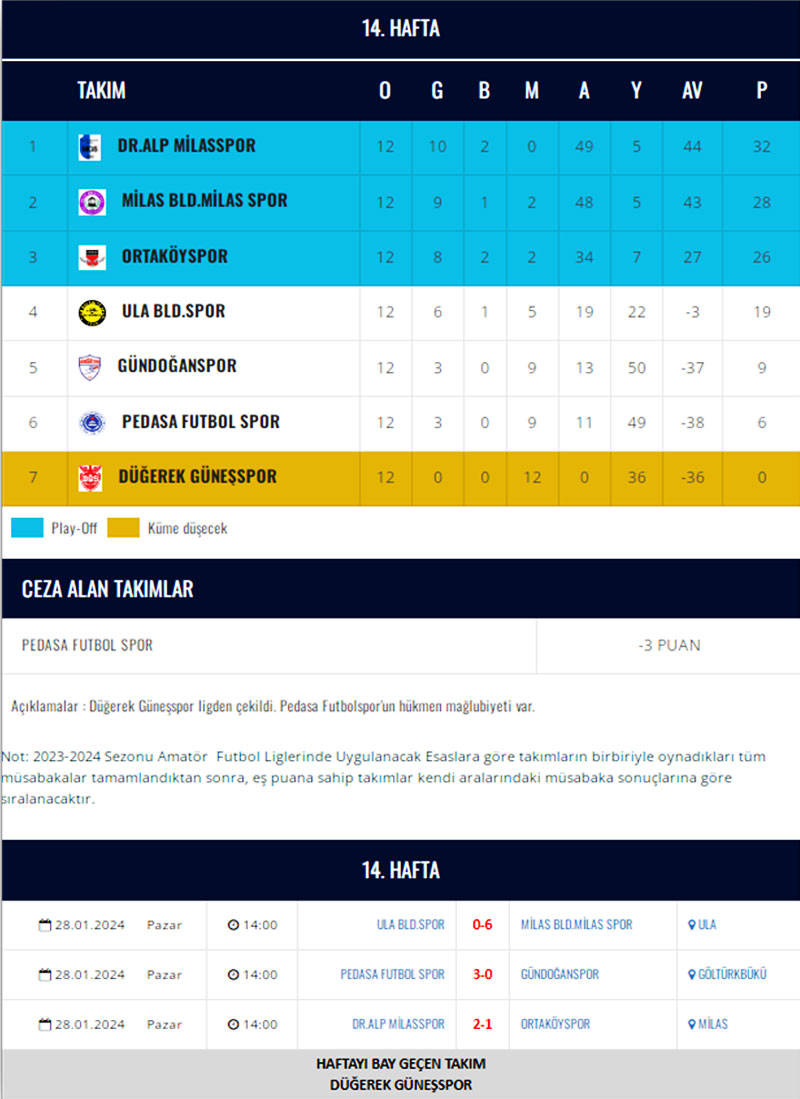 TFF BAL 9. Bölge 3. Grup 2021-2022 sezonu Puan Tablosu