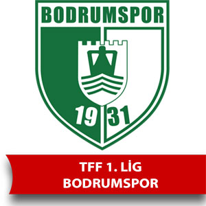 Bodrumspor puan durumu