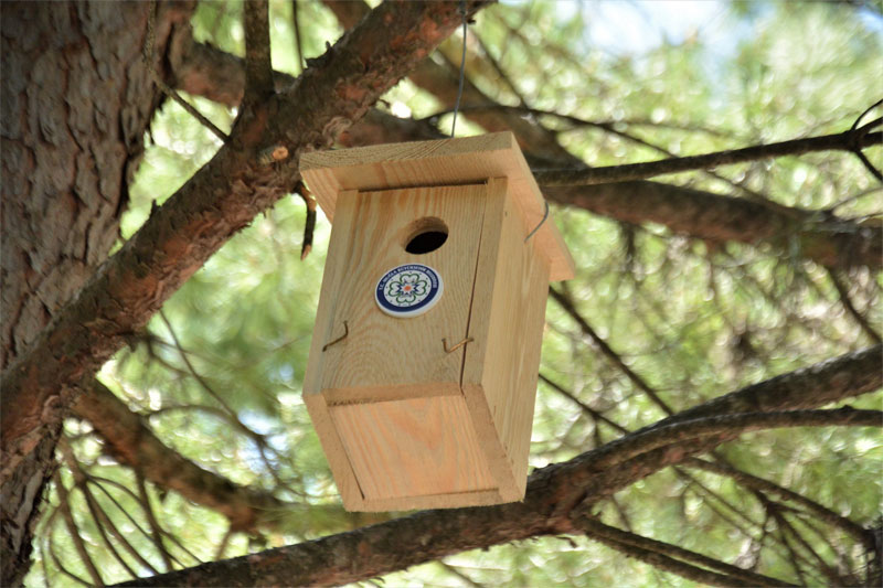 Muğla Haberleri