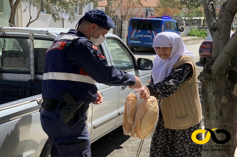 Muğla Haberleri