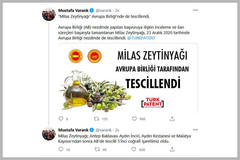 Milas'ın zeytinyağı AB'de tescillendi 2