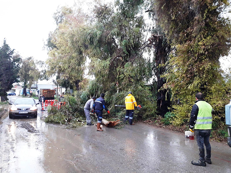 Muğla merkezde kar kıyılarda fırtına 6