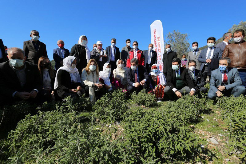 Muğla Haberleri