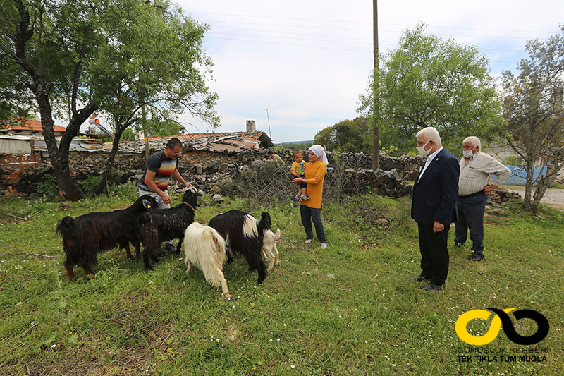 Muğla Haberleri