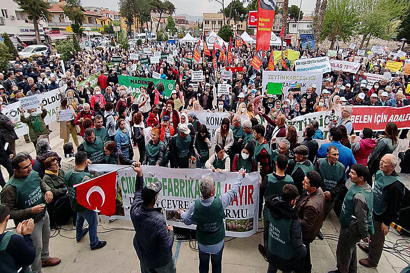 'Olive is Life, Don't Touch My Life' rally