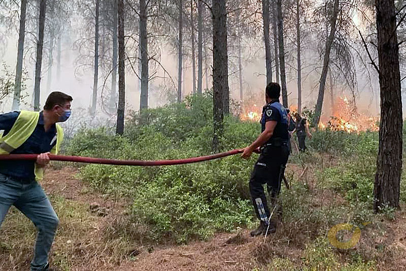 Marmaris Orman yangını müdahale, 22 Haziran 2022