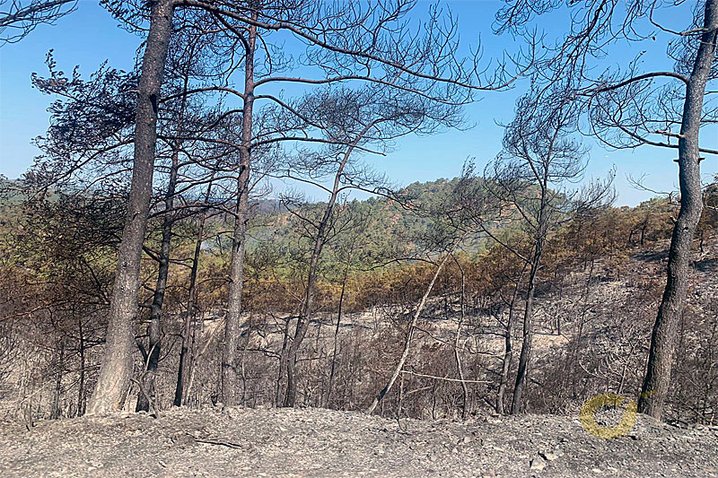 Marmaris orman yangını, Haziran 2022 - GHA 6