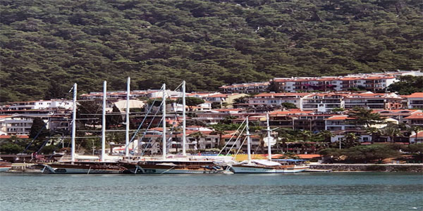 Muğla Haberleri 181