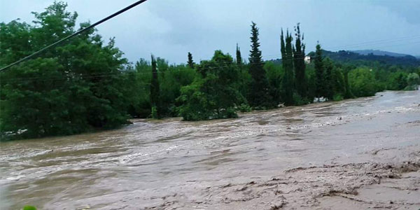 Muğla Haberleri 42