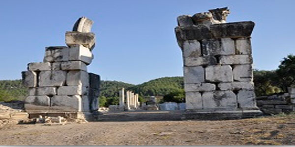 Muğla Haberleri 423