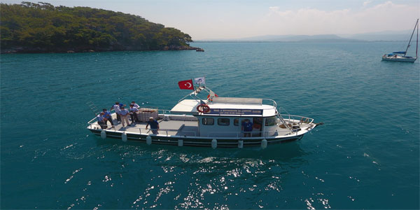 Muğla Haberleri 461