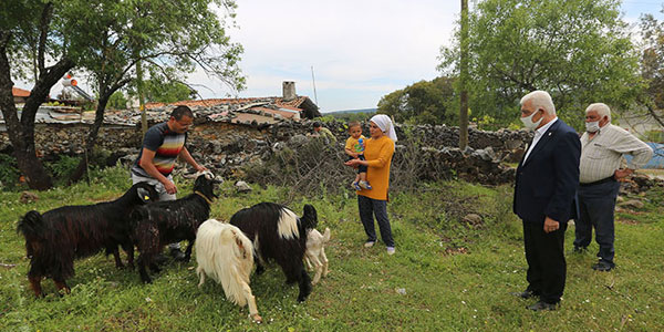 Muğla Haberleri 600