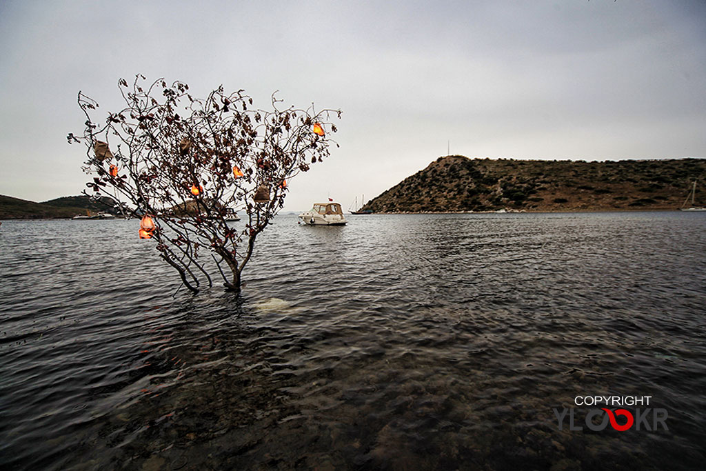 Myndos, Bodrum, Gümüşlük 17