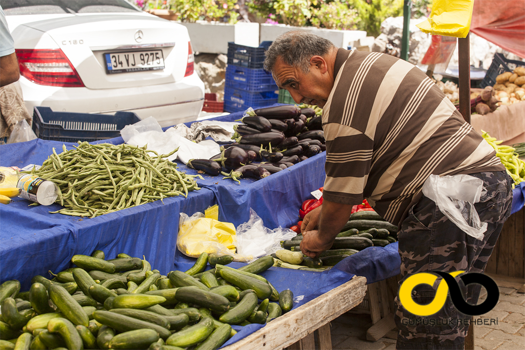 Myndos, Bodrum, Gümüşlük 3