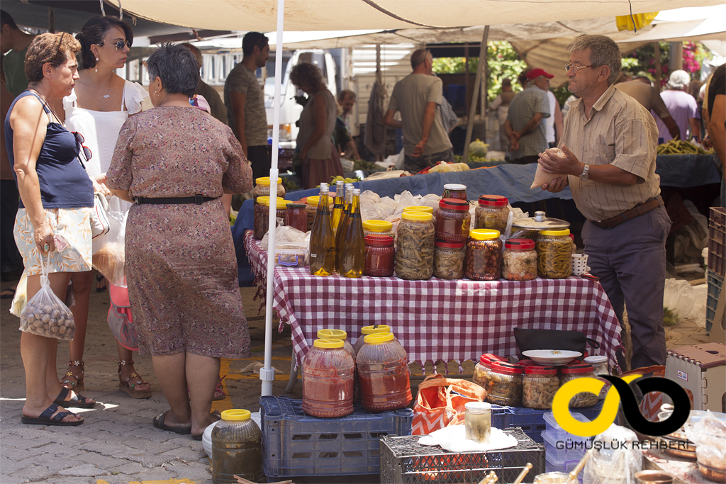 Myndos, Bodrum, Gümüşlük 6