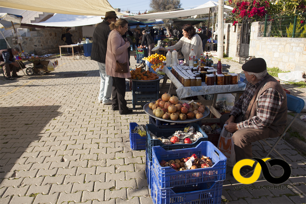 Myndos, Bodrum, Gümüşlük 9