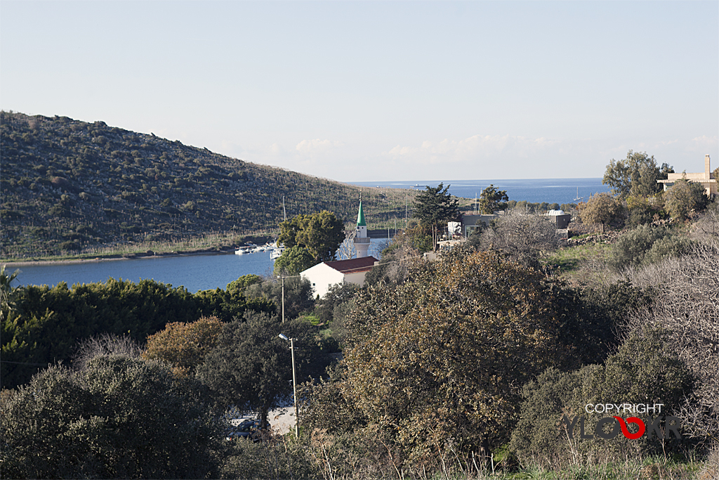 Myndos, Bodrum, Gümüşlük 41