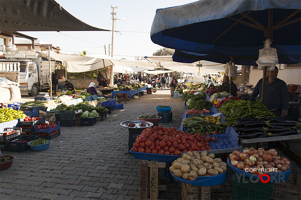 Myndos, Bodrum, Gümüşlük 44