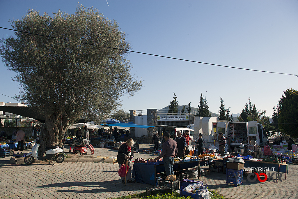 Myndos, Bodrum, Gümüşlük 45