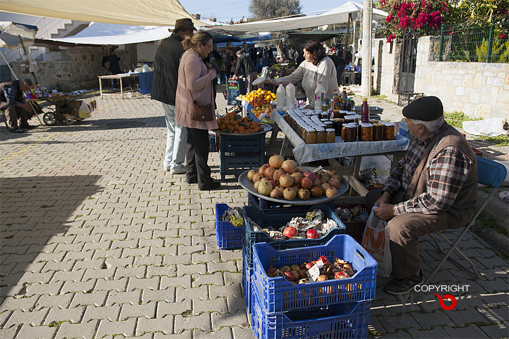 Myndos, Bodrum, Gümüşlük 46