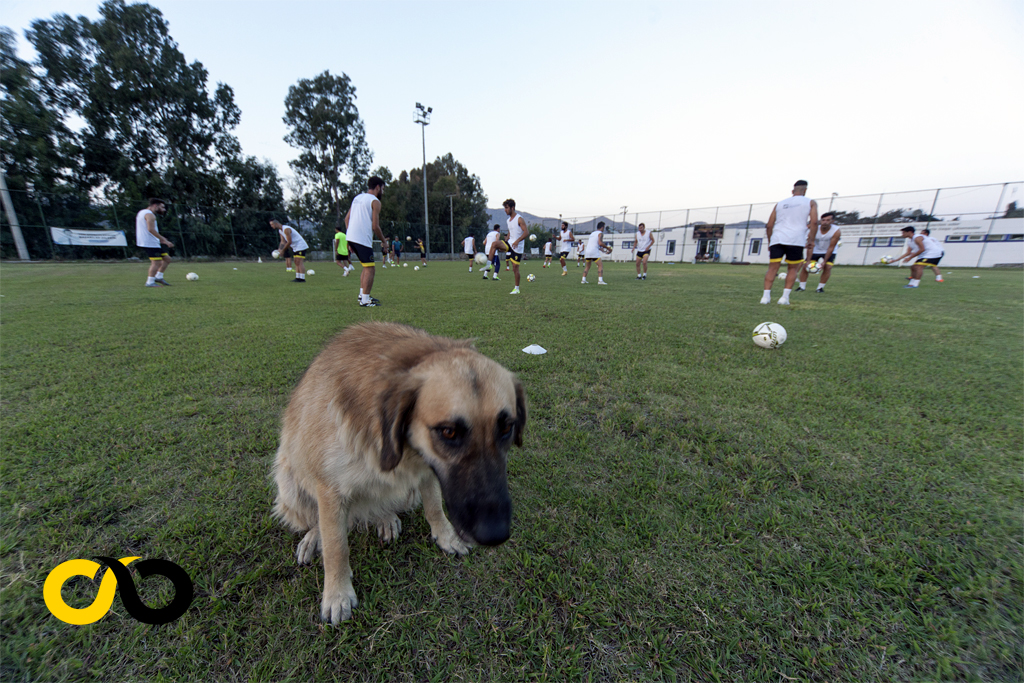 Gümüşlükspor, Gümüşlük Gençlikspor 12