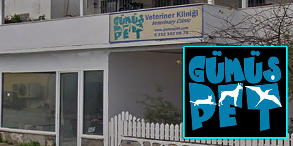 Gümüş Pet Veteriner Kliniği; Veteriner; Hamide Güler Akın; Veteriner Hekim; Gümüşlük; Bodrum