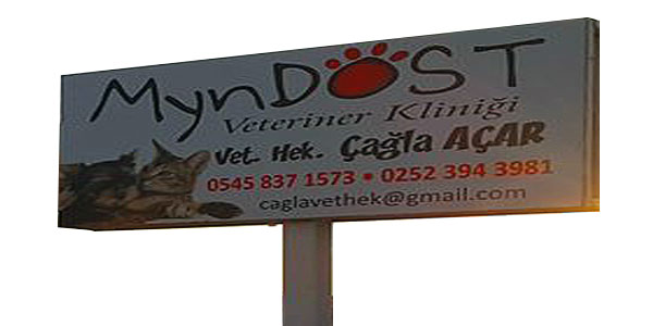 Myndost Veteriner Kliniği; Veteriner; Çağla Açar; Veteriner Hekim; Gümüşlük; Bodrum