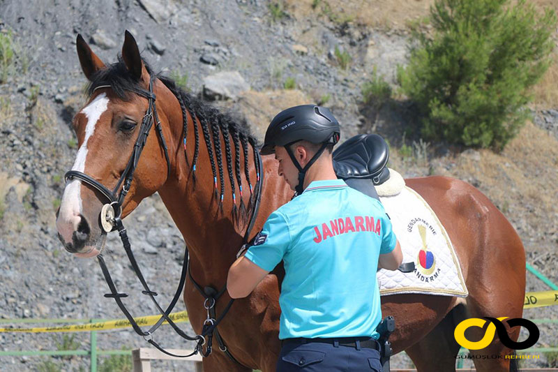 Jandarma At Timleri görev başında 1