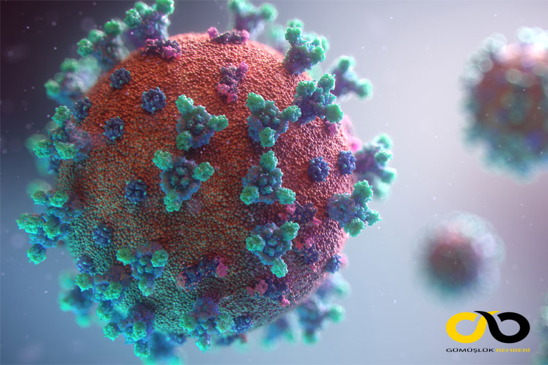 Hayatın İçinden Haberler 1